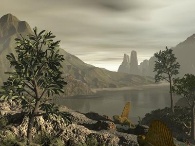 Photographic Print, , small