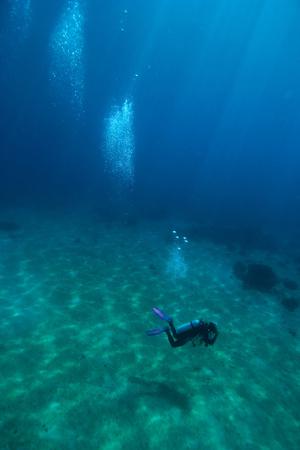 Photographic Print, , small