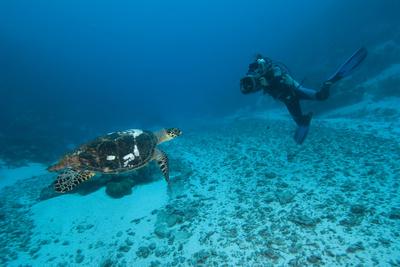 Photographic Print, , small