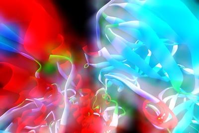 Photographic Print, , small