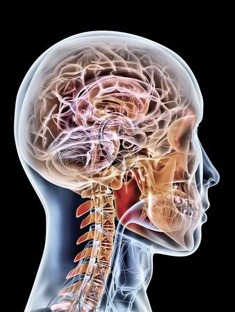 Photographic Print, , small