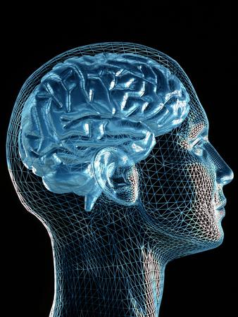 Photographic Print, , small