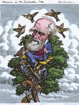 Photographic Print, , small