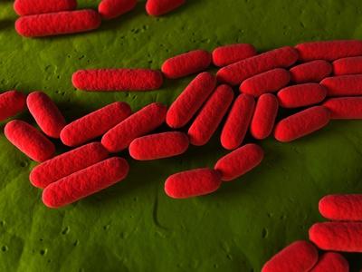 Photographic Print, , small