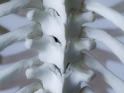 Photographic Print, , small