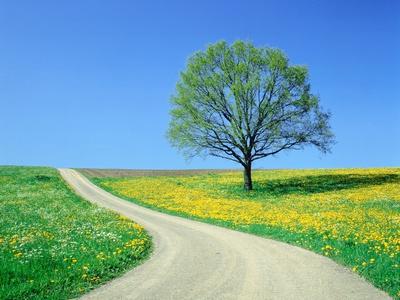 Photographic Print, , small