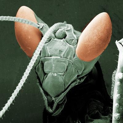 Photographic Print, , small