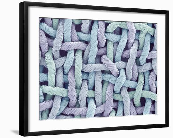 Woven Synthetic Fabric-Micro Discovery-Framed Photographic Print