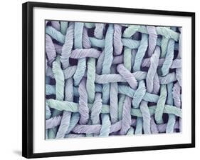 Woven Synthetic Fabric-Micro Discovery-Framed Photographic Print