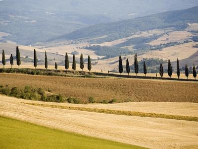 Photographic Print, , small