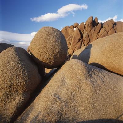 Photographic Print, , small