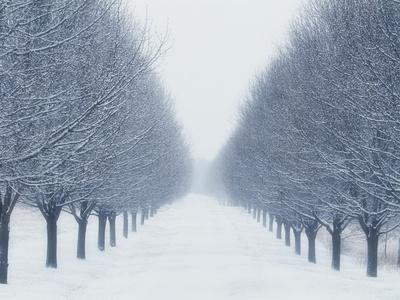 Photographic Print, , small