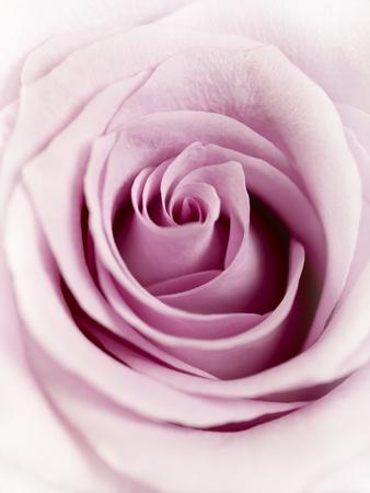 Photographic Print, , small