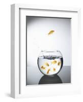 Goldfish jumping out of a bowl and escaping from the crowd-Steve Lupton-Framed Photographic Print