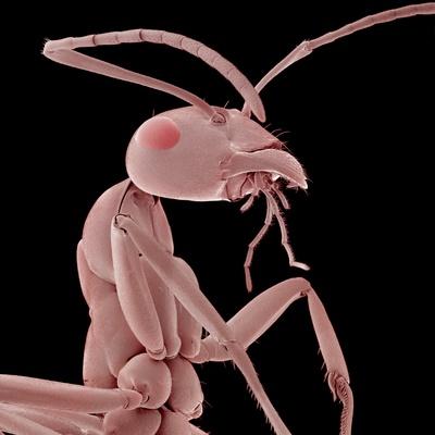 Photographic Print, , small