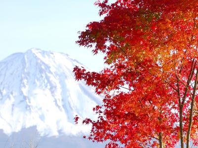 Photographic Print, , small