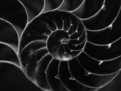 Photographic Print, , small