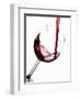 Pouring Red Wine into Wine Glass-Steve Lupton-Framed Photographic Print