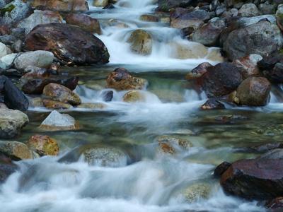 Photographic Print, , small