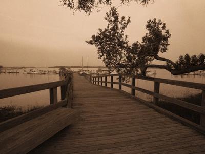 Photographic Print, , small
