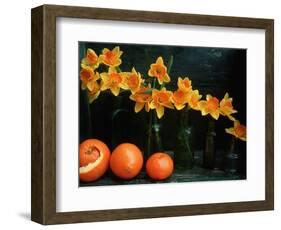 Arrangement of Daffodils and Oranges-Michelle Garrett-Framed Photographic Print