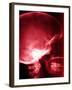 X-Ray of Human Skull-null-Framed Photographic Print