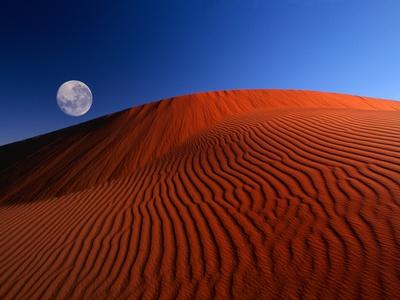 Photographic Print, , small