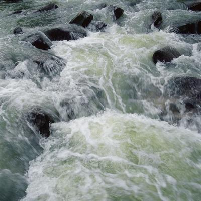 Photographic Print, , small