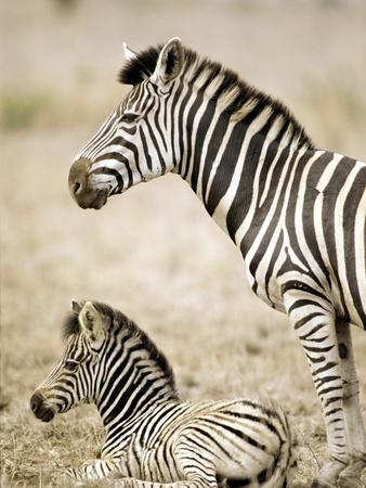 Photographic Print, , small