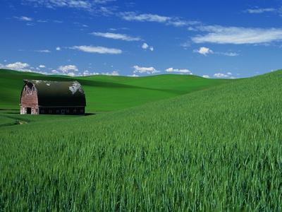 Photographic Print, , small