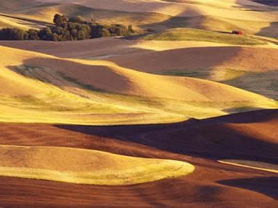 Photographic Print, , small