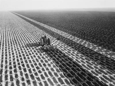 Photographic Print, , small