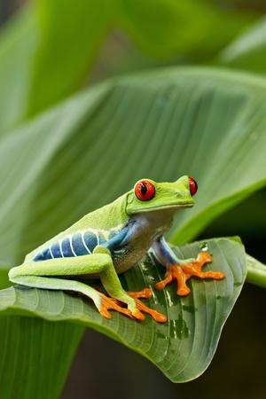 Photographic Print, , small