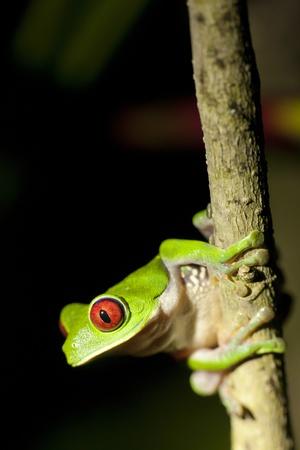 Photographic Print, , small