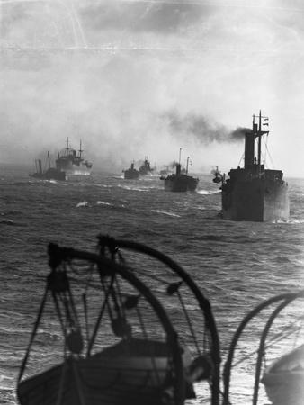 Photographic Print, , small