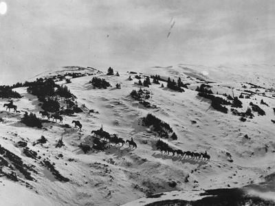 Photographic Print, , small