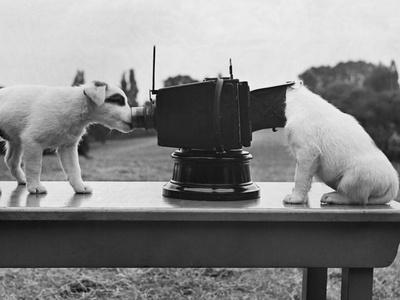 Photographic Print, , small