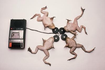Photographic Print, , small