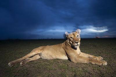 Photographic Print, , small