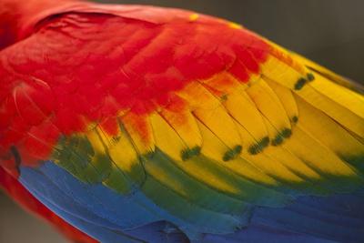 Photographic Print, , small