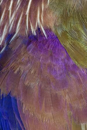 Photographic Print, , small