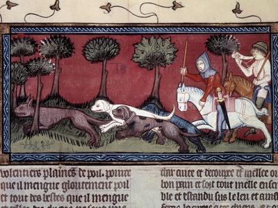 Photographic Print, , small