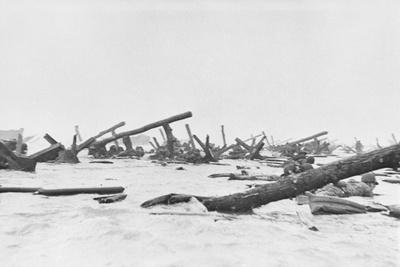 Photographic Print, , small