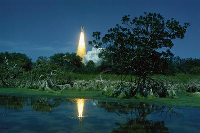 Photographic Print, , small