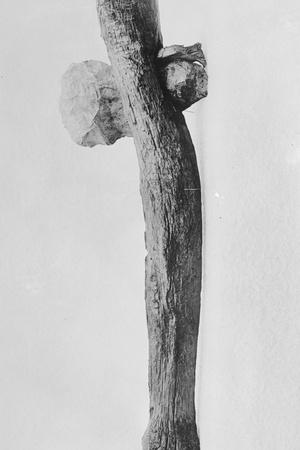 Photographic Print, , small