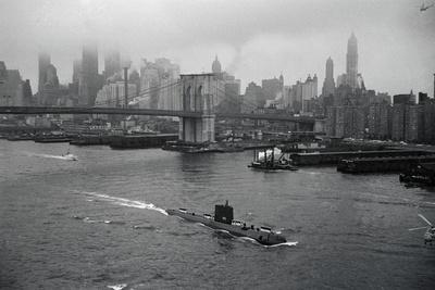 Photographic Print, , small