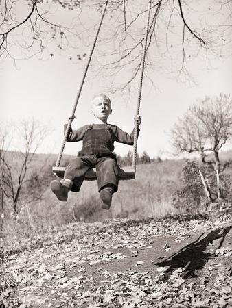 Photographic Print, , small