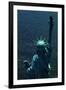 The Back of the Statue of Liberty-Dirck Halstead-Framed Photographic Print