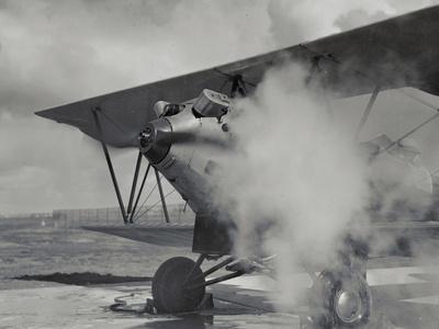 Photographic Print, , small