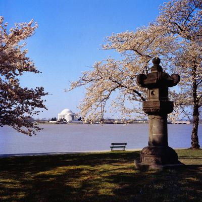 Photographic Print, , small